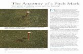 The Anatomy of aPitch Mark - MSU Libraries The Anatomy of aPitch Mark Your greens are talking to you. Are you listening? BY STANLEY J. ZONTEK A Type Ipitch mark - The Bruise. This