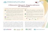 Climate-Smart Agriculture in Senegal...The climate-smart agriculture (CSA) concept reflects an ambition to improve the integration of agriculture development and climate responsiveness.