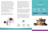 Glenbrae › ... › 2018 › 09 › Homeopathy.pdfHomeopathy for animals at Glenbrae Vet Clinic What is Homeopathy? Homeopathy is a system of medicine that helps the body to heal
