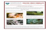 EXOTIC PEST THREATS - University Of Maryland › sites › extension.umd.edu... · UMD Entomology Field ID Guide, 2009. EXOTIC PEST THREATS. IDENTIFICATION: • Adult HWA are tiny