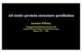 Ab-initio protein structure prediction - Cornell University · Ab-initio methods •Combination (R. A. Friesner, Columbia University) Uses simplified representation of protein chain