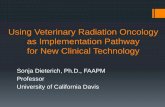 Using Veterinary Radiation Oncology as Implementation ...amos3.aapm.org › abstracts › pdf › 127-35243-418554-126236-19253… · Using Veterinary Radiation Oncology as Implementation