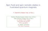 Spin fluid and spin nematic states in frustrated quantum ...web.mit.edu/~senthil/www/ictp0806.pdf• Many interesting new quantum magnets with unusual low temperature physics • Future