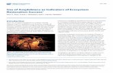 Use of Amphibians as Indicators of Ecosystem … › pdffiles › UW › UW23300.pdfCIR 1484 Use of Amphibians as Indicators of Ecosystem Restoration Success1 Ken G. Rice, Frank J.