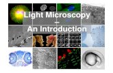 Light Microscopy An IntroductionAn IntroductionLight Microscopy – An IntroductionAn Introduction „Anatomy“ of the light microscope (simplified) Eye lens Intermediate image planeIntermediate