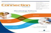 Microbiology Pathway. - bioMérieux · 12:45 - 1:15 Sepsis Know From Day 1: a Microbiology approach Yun F. (Wayne) Wang, MD, Ph.D. Director of Clinical Microbiology, Immunology &