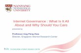 Internet Governance : What Is It All About and Why Should ... · Internet Governance Definition: The collective rules, procedures, and related programs that affect practices, and
