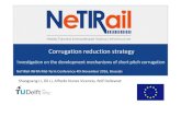 Corrugation reduction strategy - NeTIRail projectnetirail.eu/IMG/pdf/006_netirailinfrawp2tud... · Corrugation reduction strategy Investigation on the development mechanisms of short