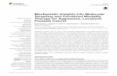 Mechanistic Insights into Molecular Targeting and Combined ... · The Role of RT in Localized Prostate Cancer. In 2014, it was estimated that over 233,000 men would be diagnosed with