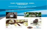 THE POWERFUL OWL PROJECT - BirdLife · The Powerful Owl Project: Conserving owls in Sydney’s urban landscape i Acknowledgements The project would not have been possible without