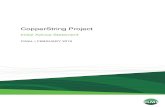 CopperString Project Initial Advice Statementeisdocs.dsdip.qld.gov.au/CopperString/2019/IAS/... · construction of the Project and 30 people will be required to operate and maintain