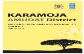 The Republic of uganda KARAMOJA - UNDP · The report characterizes the district in terms of location, geography, gender demographics by sub-county and livelihoods. Amudat District,