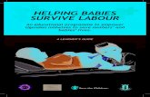 HELPING BABIES SURVIVE LABOUR - Healthy Newborn â€؛ hnn-content â€؛ uploads â€؛ ...آ  Pregnancy, Childbirth,