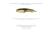 Final Report for 2006 Virginia - Chesapeake Bay Finfish Ageing · Final Report to VMRC on finfish ageing, 2006 Center for Quantitative Fisheries Ecology Old Dominion University Page
