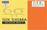 6 Sigma BB - LIBA€¦ · The Black Belt certification program provides an advanced coverage of the Six Sigma methodol- ogy. The Black Belt training course provides not only the practical