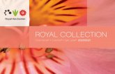 ROYAL COLLECTION€¦ · ROYAL COLLECTION A new season is coming… As we all cope with the challenges every day that are caused by COVID-19 or better known as the Corona virus, we