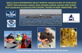 SMALL SCALE INTERGRATED MULTI-TROPHIC AQUACUTLURE … · 2014-04-08 · SMALL SCALE INTERGRATED MULTI-TROPHIC AQUACUTLURE OF STEELHEAD TROUT (Oncorhynchus mykiss), BLUE MUSSELS (Edulis