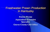 Freshwater Prawn Production in Kentucky › sites › aquaculture.ca.uky...The freshwater prawn is native to tropical countries along the Pacific ocean. Although freshwater as adults