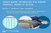 GREEN WATER TECHNOLOGY FOR SHRIMP FARMING: MODES …media.dhweb.com.s3.amazonaws.com › aes › biofloc › ... · Survey of 174 shrimp farms and other case-studies 77 farms monoculture
