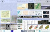 UTILIZING DPLOT, SEDLOG, AND ARCGIS PRO TO ENHANCE ... › gsa › 2019AM › webprogram...Traditional field techniques in undergraduate geologic field mapping courses utilized USGS