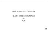 GIAV & SFMCA VIC MEETING BLACK SEA PRESENTATION BY ADM Borlase Black Sea.pdf · BLACK SEA AZOV SEA Source: USPA UKRAINE SEA PORTS INFRUSTRUCTUE Olviya Ukrainian sea ports . ADM TRADING