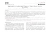 Antioxidant activity of Trifolium resupinatum different ... › descarga › articulo › 6326852.pdf · Antioxidant activity of Trifolium resupinatum L. exposed to different extracts