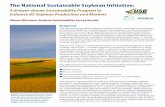 The National Sustainable Soybean Initiative · The National Sustainable Soybean Initiative: Background The National Sustainable Soybean Initiative (NSSI) is working toward stream-