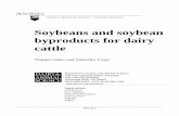 Soybeans and soybean byproducts for dairy cattle · Table 5 lists the effective ruminal degradabilities for the different soybean sources. The grinding of roasted soybeans increased