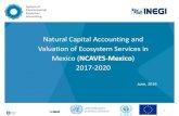 Natural Capital Accounting and Valuation of …...Natural Capital Accounting and Valuation of Ecosystem Services in Mexico (NCAVES-Mexico) 2017-2020 June, 2019 1 1. Background 2. Institutional