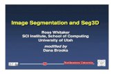 Image Segmentation and Seg3D - Scientific Computing and ...Cross platform, WX widgets. Software design/user interface Software engineering • Wrapping ITK filters and image I/O •