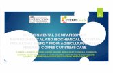 ENVIRONMENTAL COMPARISON OF THERMOCHEMICAL AND BIOCHEMICAL ...uest.ntua.gr/cyprus2016/proceedings/presentation/6... · This work evaluated a thermochemical and biochemical route to