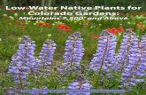 Low-Water Native Plants for Colorado Gardens...a landscape of native plants. Lawns also provide no habitat for pollinators and birds. Native landscapes, on the other hand, are less