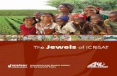 Science with a human face Jewels - ICRISAT › jewels › The-Jewels-of-ICRISAT.pdf · 2012-10-11 · ICRISAT is headquartered in Hyderabad, Andhra Pradesh, India, with two regional