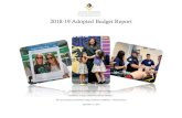 2018-19 Adopted Budget Report - SJECCD › AdministrativeServices › Documents...2018/2019 ADOPTED BUDGET REPORT Presented to the Board of Trustees September 11, 2018 Doug Smith,