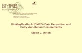 BioMagResBank (BMRB) Data Deposition and Entry Annotation ... · T2 relaxation Heteronuclear NOE Homonuclear NOE/ROE Dipole-dipole relaxation Cross correlation Spectral density values