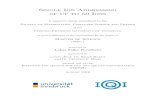 Single Ion Addressing€¦ · Faculty of Mathematics, Computer Science and Physics of the Leopold-Franzens University of Innsbruck in partial ful lment of the requirements for the