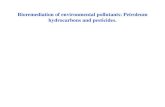 Bioremediation of environmental pollutants: Petroleum ...microbio.du.ac.in/web3/uploads/Microbiology Uploads... · contaminated soil and proved to be the potential organisms for hydrocarbon