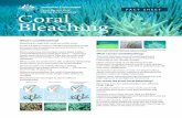 FACT SHEET Coral Bleaching - elibrary.gbrmpa.gov.auelibrary.gbrmpa.gov.au/.../1/Coral...Fact-Sheet.pdftransparent and the coral’s bright white skeleton is revealed. Bleached corals