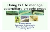 Using B.t. to manage caterpillars on cole crops › u.osu.edu › dist › 1 › 8311 › ... · 2017-12-22 · Using B.t. to manage caterpillars on cole crops Celeste Welty ... management