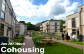 Joe Atkinson Cohousing€¦ · Learning together Improved security Ecological Sharing resources Smaller homes Scale as an enabler. Is it permaculture? Design Principles. Design Principles