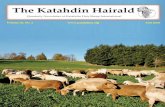 The Katahdin Hairald › pdfs › Hairald › Katahdin_Hairald_Fall_2014.pdf · Classifieds - Classified sale ads for Katahdin or Katahdin-cross sheep are free to all KHSI members
