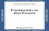 Footprints in the Forest - ebooktakeaway · FOOTPRINTS IN THE FOREST. CHAPTER I. RETROSPECTIVE. Those of my friends who have done me the honor of reading "Campfire and Wigwam," will