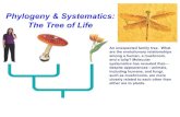 Phylogeny & Systematics: The Tree of Life Biology/Unit 8/Unit 8/Chap 26... · Phylogeny & Systematics: The Tree of Life An unexpected family tree. What are the evolutionary relationships