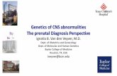 Genetics of CNS abnormalities The prenatal Diagnosis Perspective · 2018-11-19 · Genetics of CNS abnormalities The prenatal Diagnosis Perspective Ignatia B. Van den Veyver, M.D.
