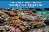 Guam Coral Reef Resilience Strategy...coral reefs are still used for subsistence fishing, some commercial fishing, and recreation by both locals and tourists (Burdick et al. 2008).