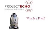 ECHO-What Is a Pitch? 11.6€¦ · STRUCTURING A PITCH THE CONCLUSION 15 ©Lisa Tsou What You’re Asking for and Why. STRUCTURING YOUR PITCH 16 ... Title: ECHO-What Is a Pitch? 11.6.15