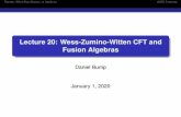 Lecture 20: Wess-Zumino-Witten CFT and Fusion Algebrassporadic.stanford.edu/conformal/lecture20.pdf · This is discussed further in two lectures from the previous course on quantum