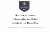 Non Genetic Factors Affecting Hunting Ability in Italian ...eaap.org/Annual_Meeting/2016_belfast/S65_05_Riganelli.pdf · Non Genetic Factors . Affecting Hunting Ability . in Italian