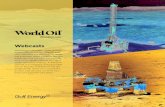 Webcasts - World Oil · Webcasts Gulf Energy Information offers you the opportunity to interact directly with ... brand and generate sales leads. WorldOil.com. Webcast process: The