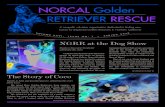 NORCAL Golden RETRIEVER RESCUE · Craig and Judy Simberg Cloyd Smith Tessie Spagna Anthony Spangler A t the end of last year, we sent out our Rescue Fund letter. The purpose was to